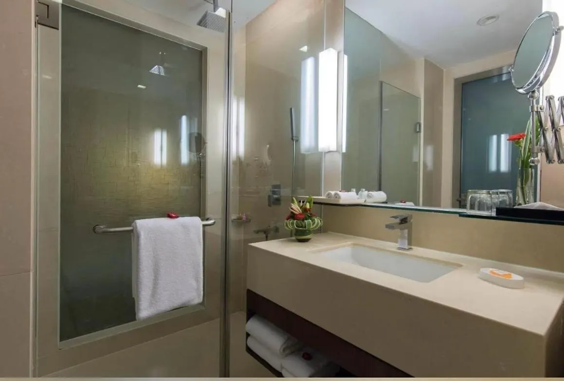 Hotel Airport Inn Plaza Near Delhi Airport Aerocity New Delhi 3*,  India